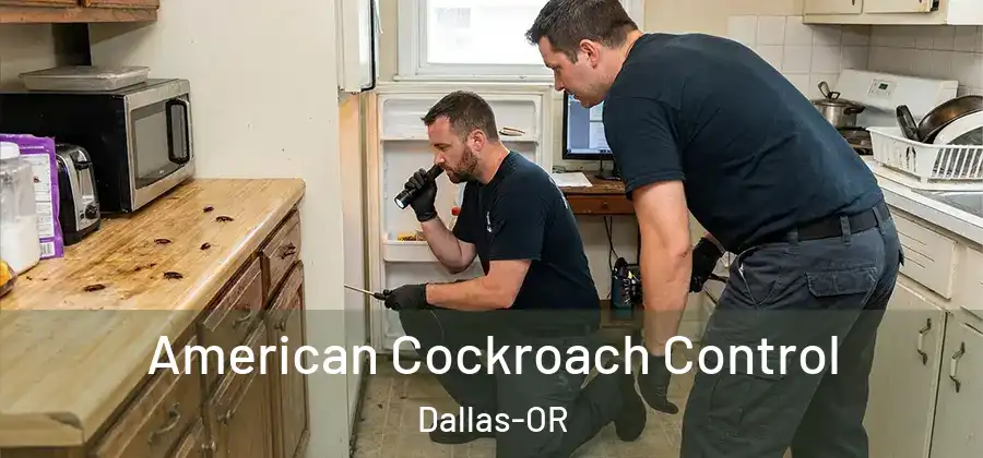 American Cockroach Control Dallas-OR