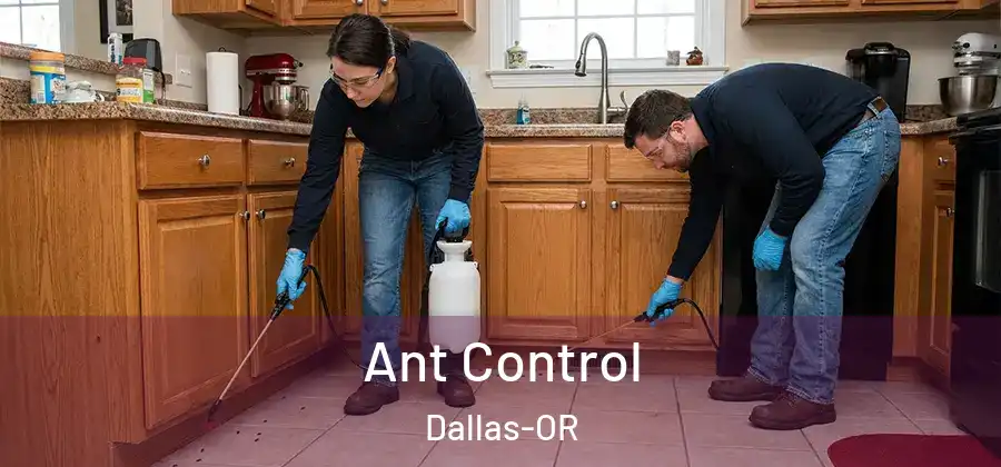 Ant Control Dallas-OR