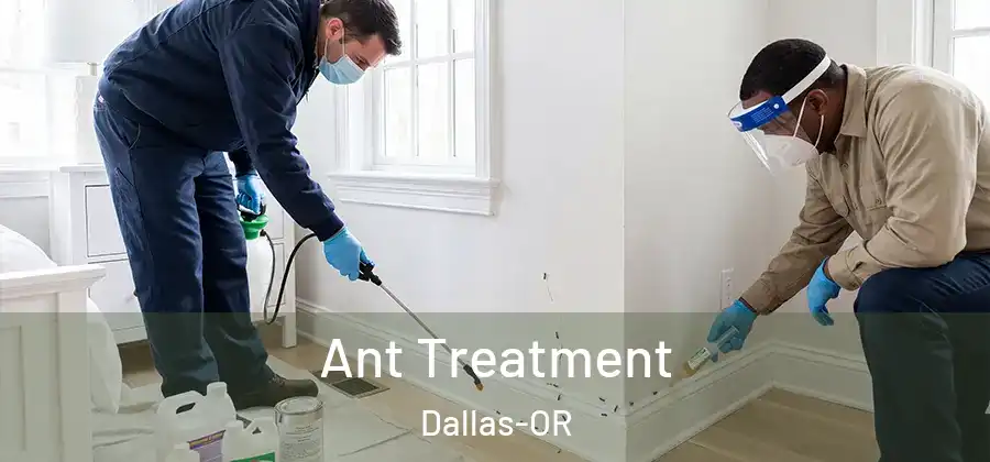  Ant Treatment Dallas-OR