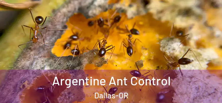  Argentine Ant Control Dallas-OR