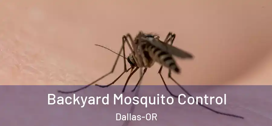 Backyard Mosquito Control Dallas-OR