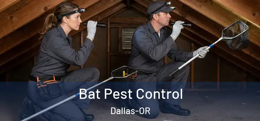 Bat Pest Control Dallas-OR