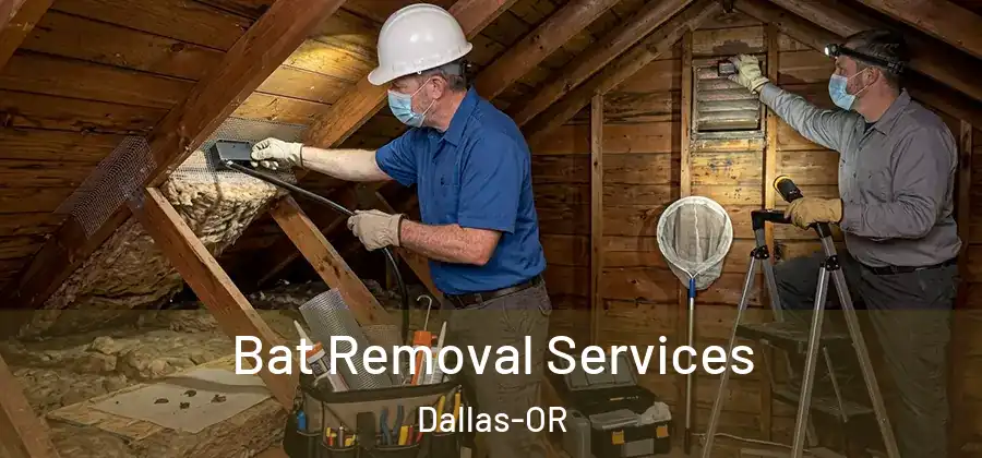 Bat Removal Services Dallas-OR