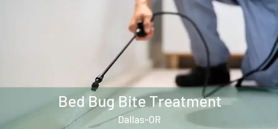 Bed Bug Bite Treatment Dallas-OR