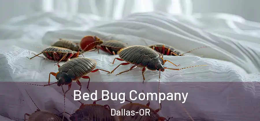 Bed Bug Company Dallas-OR