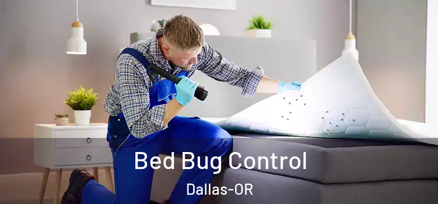 Bed Bug Control Dallas-OR