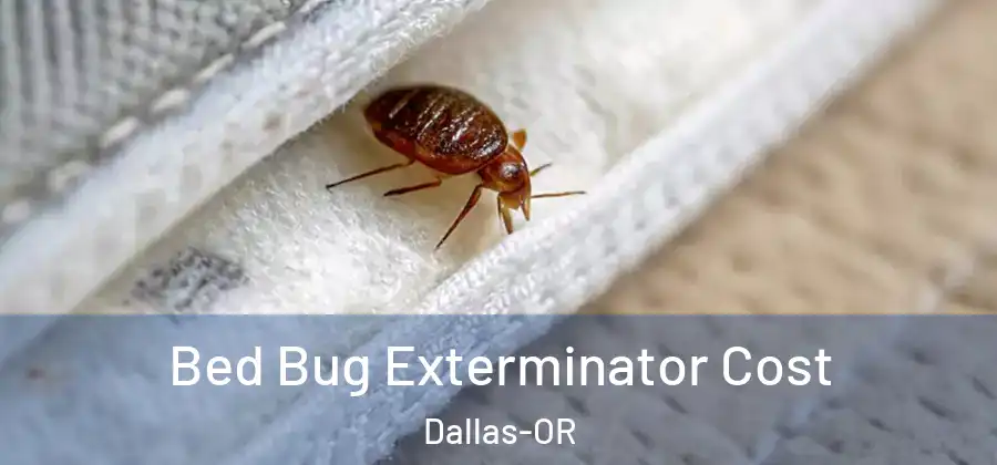 Bed Bug Exterminator Cost Dallas-OR