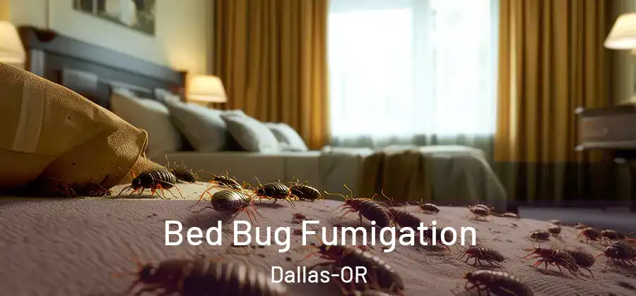 Bed Bug Fumigation Dallas-OR