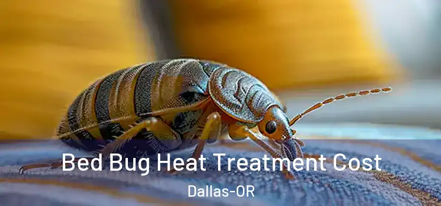  Bed Bug Heat Treatment Cost Dallas-OR