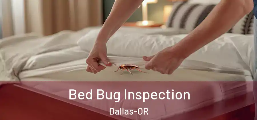 Bed Bug Inspection Dallas-OR