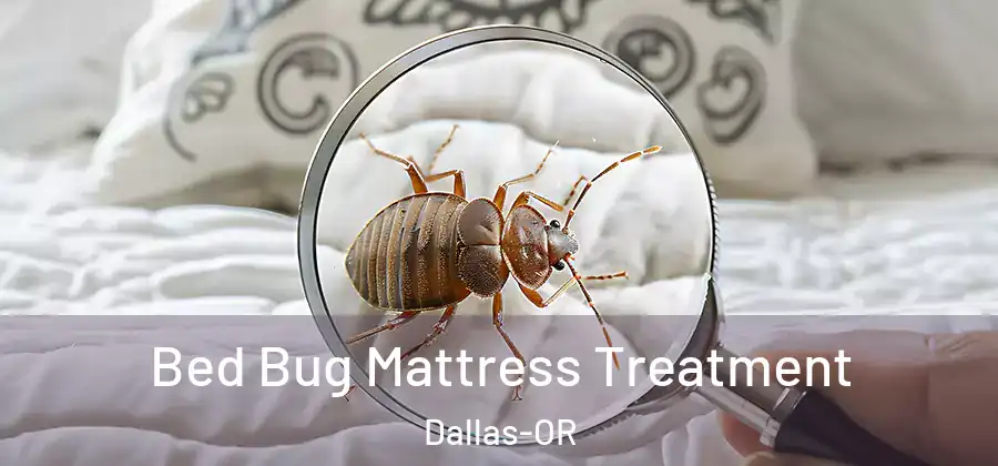  Bed Bug Mattress Treatment Dallas-OR
