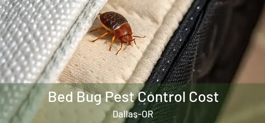 Bed Bug Pest Control Cost Dallas-OR