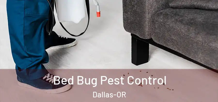 Bed Bug Pest Control Dallas-OR