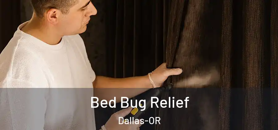 Bed Bug Relief Dallas-OR
