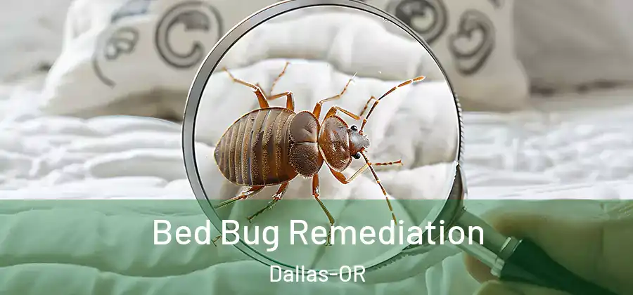 Bed Bug Remediation Dallas-OR