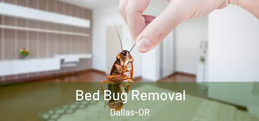 Bed Bug Removal Dallas-OR
