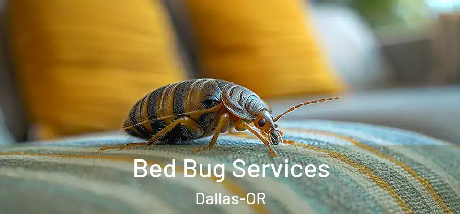 Bed Bug Services Dallas-OR