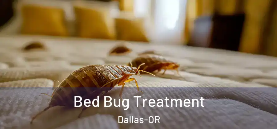 Bed Bug Treatment Dallas-OR