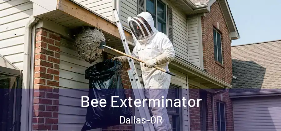 Bee Exterminator Dallas-OR