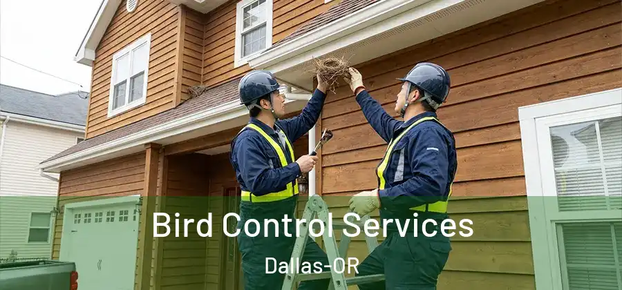 Bird Control Services Dallas-OR
