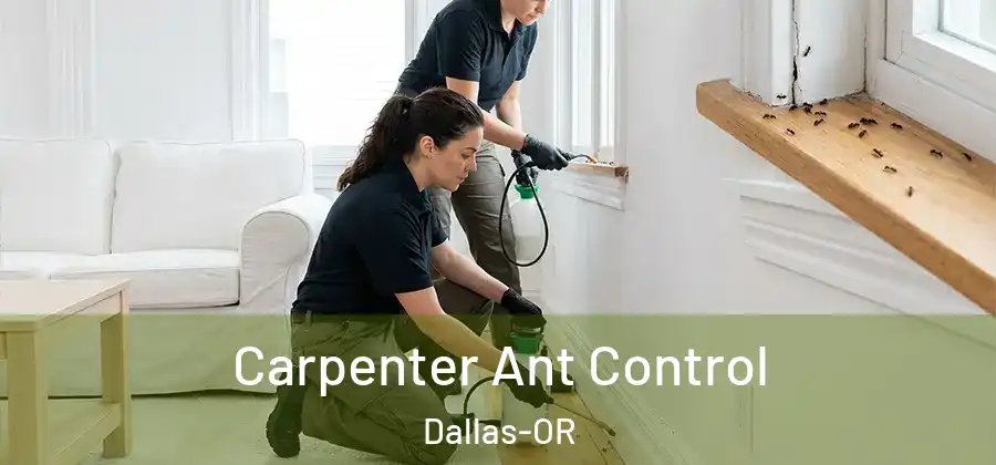 Carpenter Ant Control Dallas-OR
