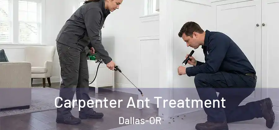  Carpenter Ant Treatment Dallas-OR