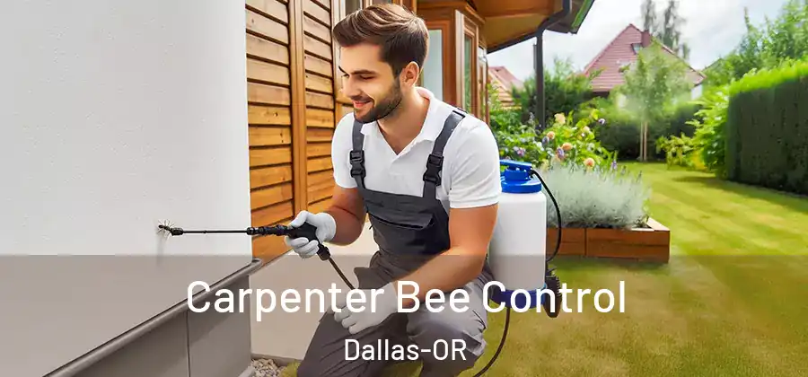 Carpenter Bee Control Dallas-OR