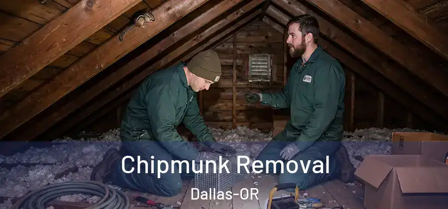 Chipmunk Removal Dallas-OR