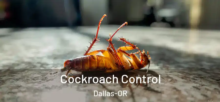 Cockroach Control Dallas-OR