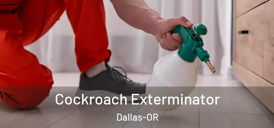 Cockroach Exterminator Dallas-OR
