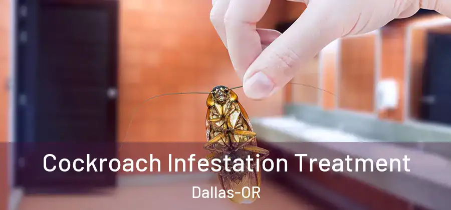  Cockroach Infestation Treatment Dallas-OR