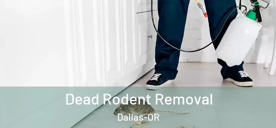 Dead Rodent Removal Dallas-OR