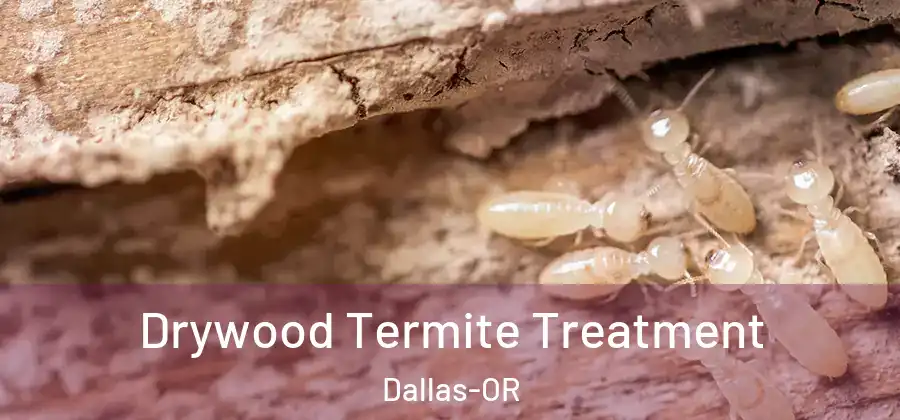 Drywood Termite Treatment Dallas-OR