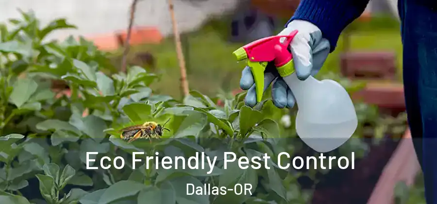 Eco Friendly Pest Control Dallas-OR