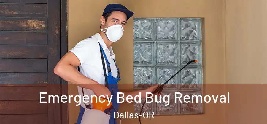 Emergency Bed Bug Removal Dallas-OR
