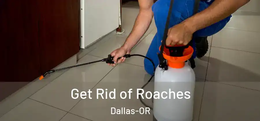 Get Rid of Roaches Dallas-OR