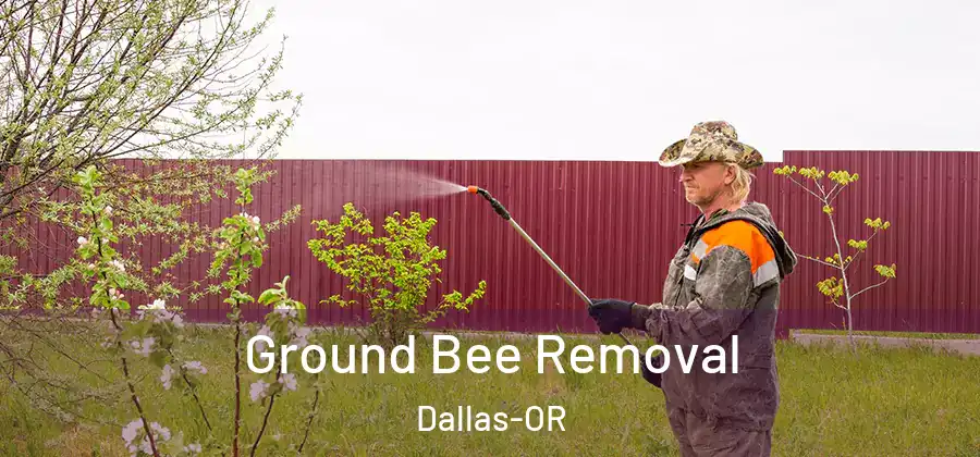 Ground Bee Removal Dallas-OR
