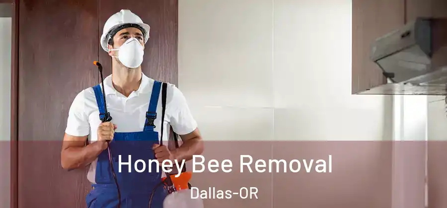 Honey Bee Removal Dallas-OR