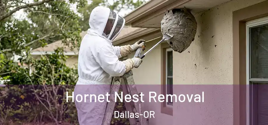  Hornet Nest Removal Dallas-OR