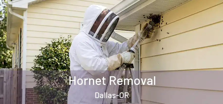  Hornet Removal Dallas-OR
