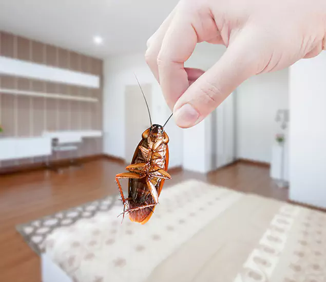 Your Cockroach Control Services in Dallas, OR