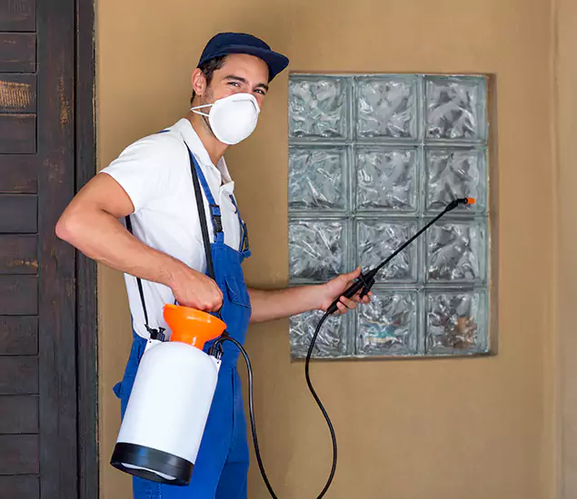 About Heat Treatment for Termites Experts in Dallas, OR