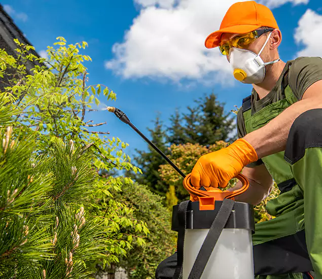 Your Best Bug Spray for Home Team in Dallas, OR