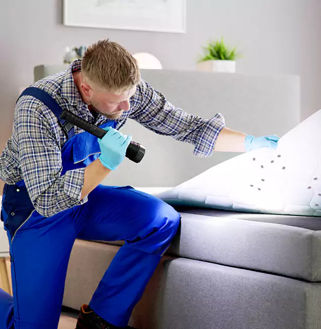 Why Choose Rapid Pest Control Dallas For Bed Bug Heat Treatment in Dallas, OR?