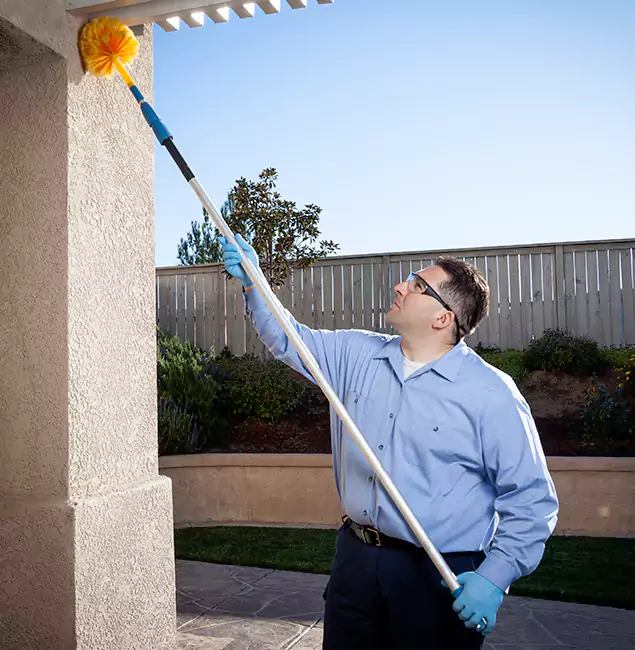 Why Choose Rapid Pest Control Dallas for Foundation Termite Treatment in Dallas, OR?