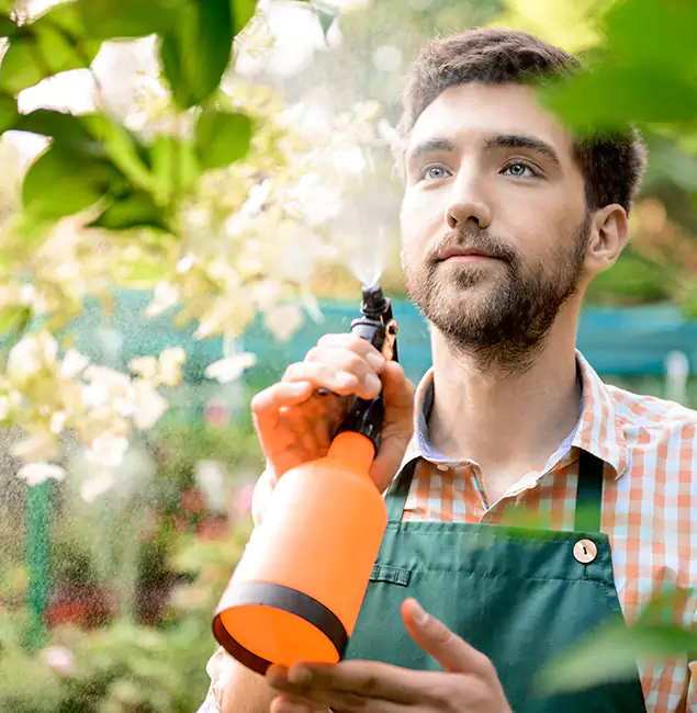 Why Dallas Homeowners Call Rapid Pest Control Dallas for Mosquitoes in House?