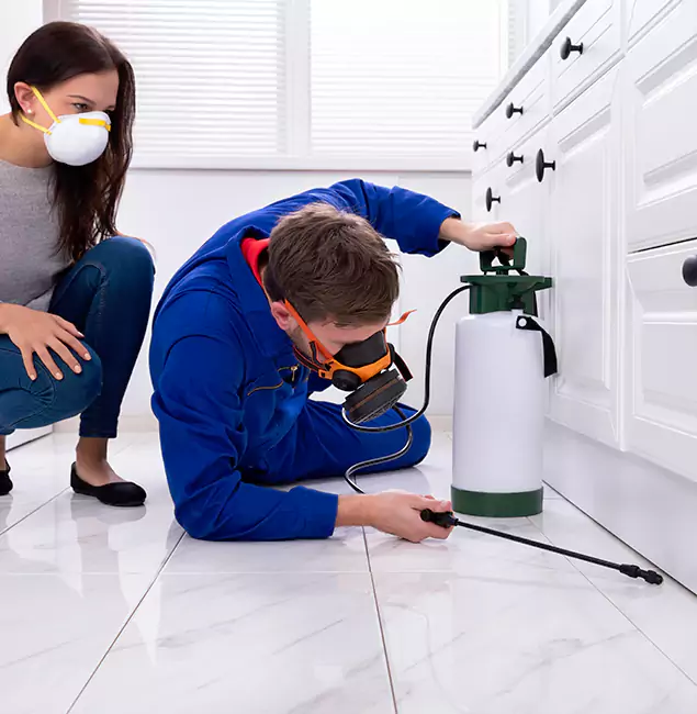 Why Choose Rapid Pest Control Dallas in Dallas, OR?