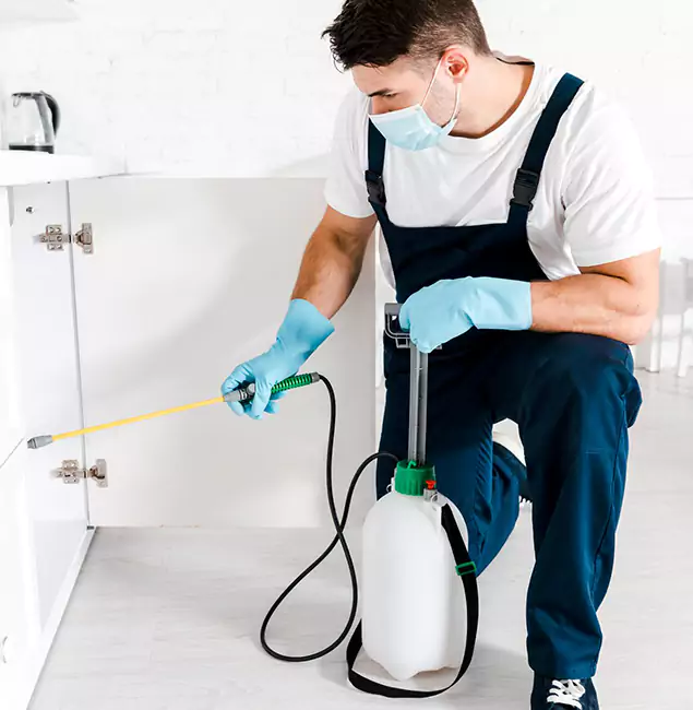 Why Choose Rapid Pest Control Dallas for Termite Spot Treatment in Dallas, OR?