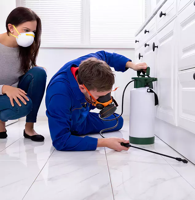Why Choose Wood Termite Treatment by Rapid Pest Control Dallas in Dallas, OR?