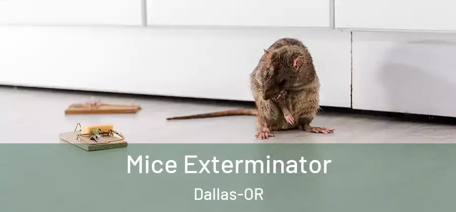 Mice Exterminator Dallas-OR